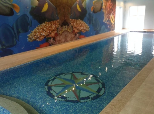 Baseny - realizacje 83